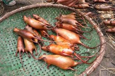 Chợ chuột họp giữa Thủ đô