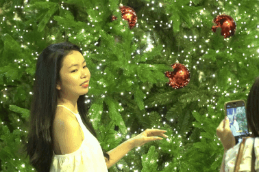 Người dân TPHCM chen chân check-in vườn thông Noel