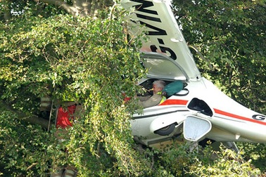 Chùm ảnh: Máy bay hạ cánh trên ngọn cây