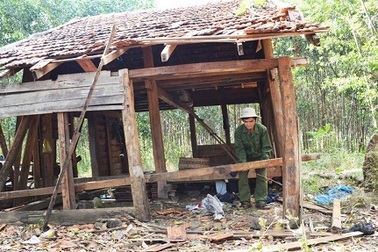 Hai mẹ con voi rừng bỏ đi sau 3 tháng quậy phá dân