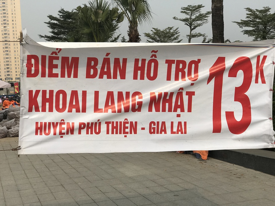 Hàng chục tấn khoai lang nằm la liệt, chờ giải cứu trên vỉa hè Hà Nội - 3 Hàng chục tấn khoai lang nằm la liệt, chờ giải cứu trên vỉa hè Hà Nội - 3