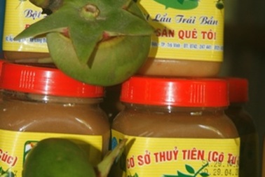 Trái bần hoang dã trở thành đặc sản xuất ngoại