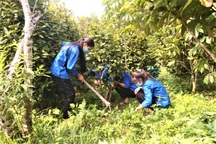 Tháo nút thắt giúp thanh niên dân tộc thiểu số ở Bình Liêu Quảng Ninh khởi nghiệp thành công