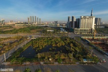 Trúng đấu giá mà "bỏ cọc" có thể phải nộp 50% giá trị đất