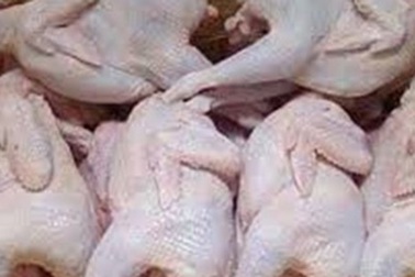 Gà không đầu, giả gà ta lại xuất hiện ở chợ