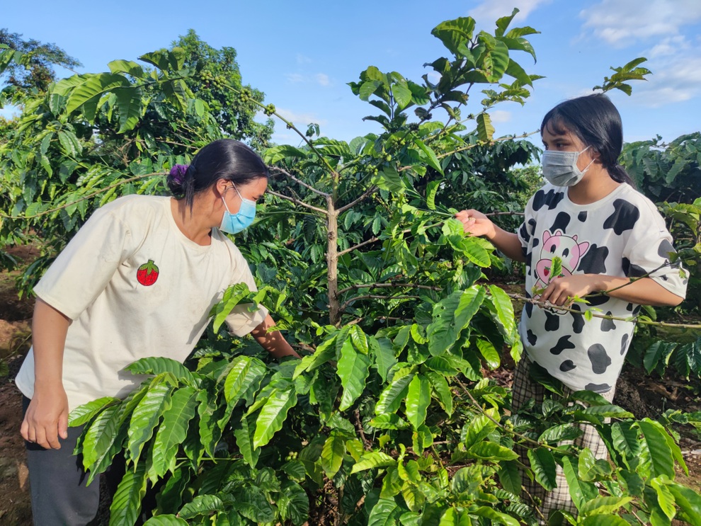 Lao động từ miền Nam về quê tránh dịch, bộn bề trăn trở - 1 Lao động từ miền Nam về quê tránh dịch, bộn bề trăn trở - 1