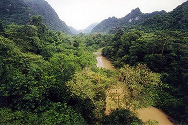 Dự án bảo tồn Phong Nha - Kẻ Bàng có nguy cơ bị rút vốn