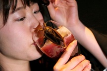 Nhà hàng Nhật phục vụ "món mới" - côn trùng chết - cho các cặp tình nhân