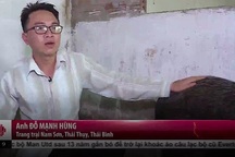 Chàng trai thành công từ quyết tâm về quê nuôi lợn thuần chủng Thái Lan