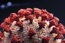 Anh phát hiện biến chủng SARS-CoV-2 mới