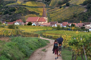 Thị trường nhà đất "đổi chiều" khi giới nhà giàu bỏ phố về quê sống