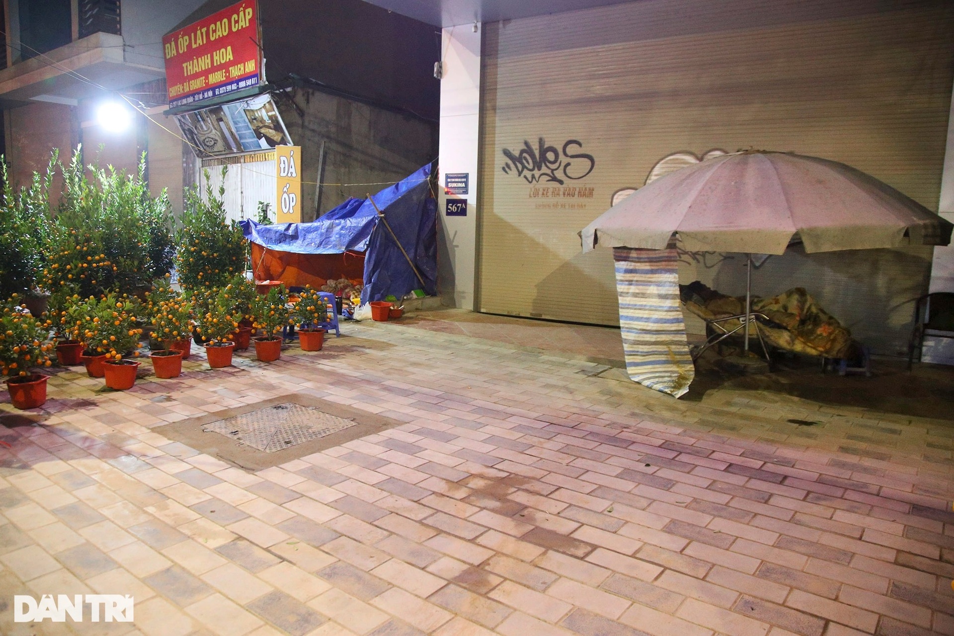 Lọ mọ đêm hôm trong mưa rét trông đào quất Tết ở Hà Nội - 8