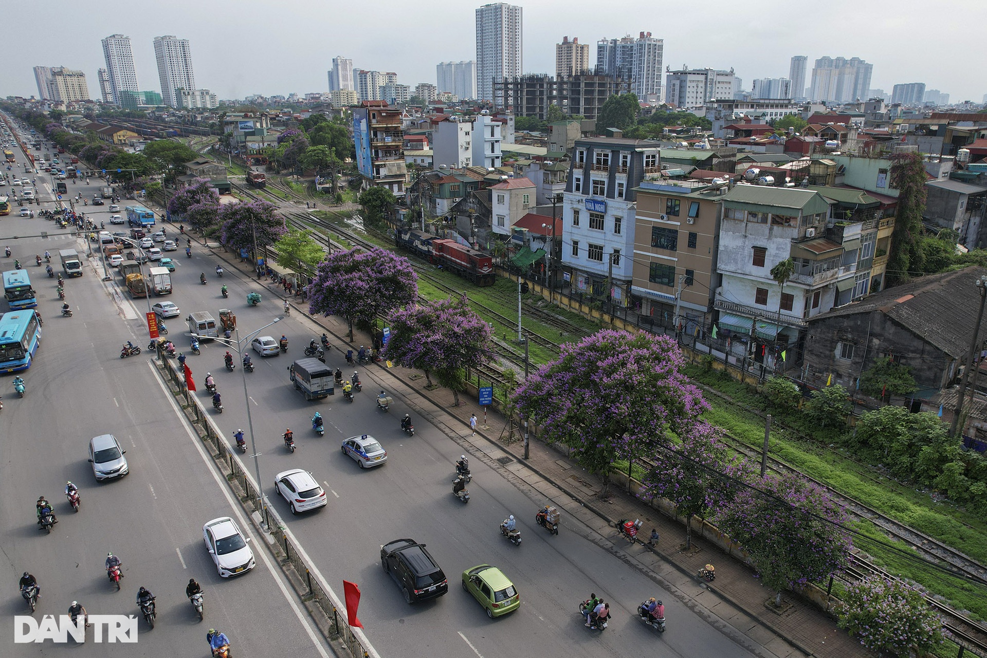 Hà Nội rực rỡ trong mùa hoa tháng 5 - 8