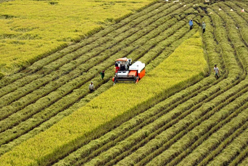 Hà Tĩnh sẽ chơi lớn trong sản xuất nông nghiệp! - 3 Hà Tĩnh sẽ chơi lớn trong sản xuất nông nghiệp! - 3