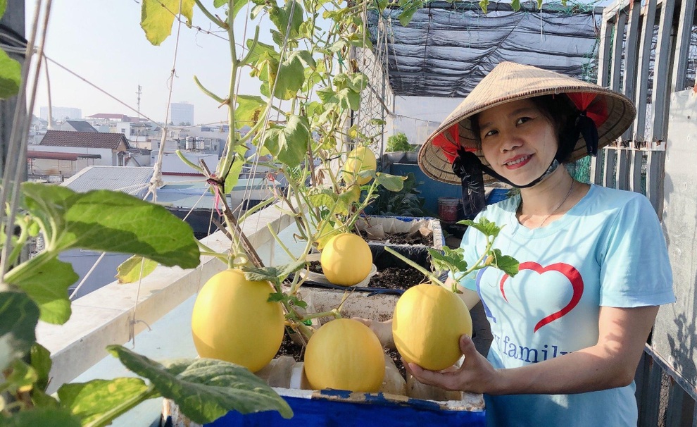 Bất ngờ với vườn rau trái đỉnh cao trên nóc nhà tại Đồng Nai - 12