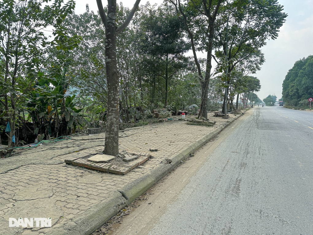 Dẹp hai chợ bán chim trời ở Hà Nội sau phản ánh của báo Dân trí - 1 Dẹp hai chợ bán chim trời ở Hà Nội sau phản ánh của báo Dân trí - 1