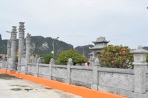 Bắt nhóm đối tượng đột nhập lăng mộ trộm cây hoa mẫu đơn 80 triệu đồng