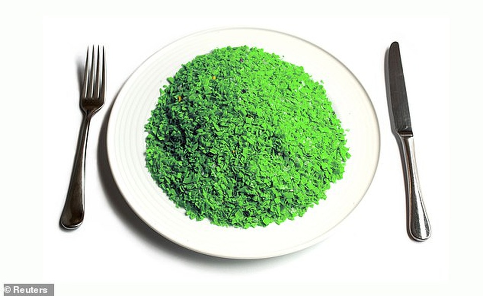 Sốc: Chúng ta nạp vào cơ thể 20 kg nhựa trong 79 năm cuộc đời - 6 Sốc: Chúng ta nạp vào cơ thể 20 kg nhựa trong 79 năm cuộc đời - 6