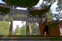 Hậu duệ Hàng Long Thập Bát Chưởng bất ngờ thách đấu võ sĩ MMA