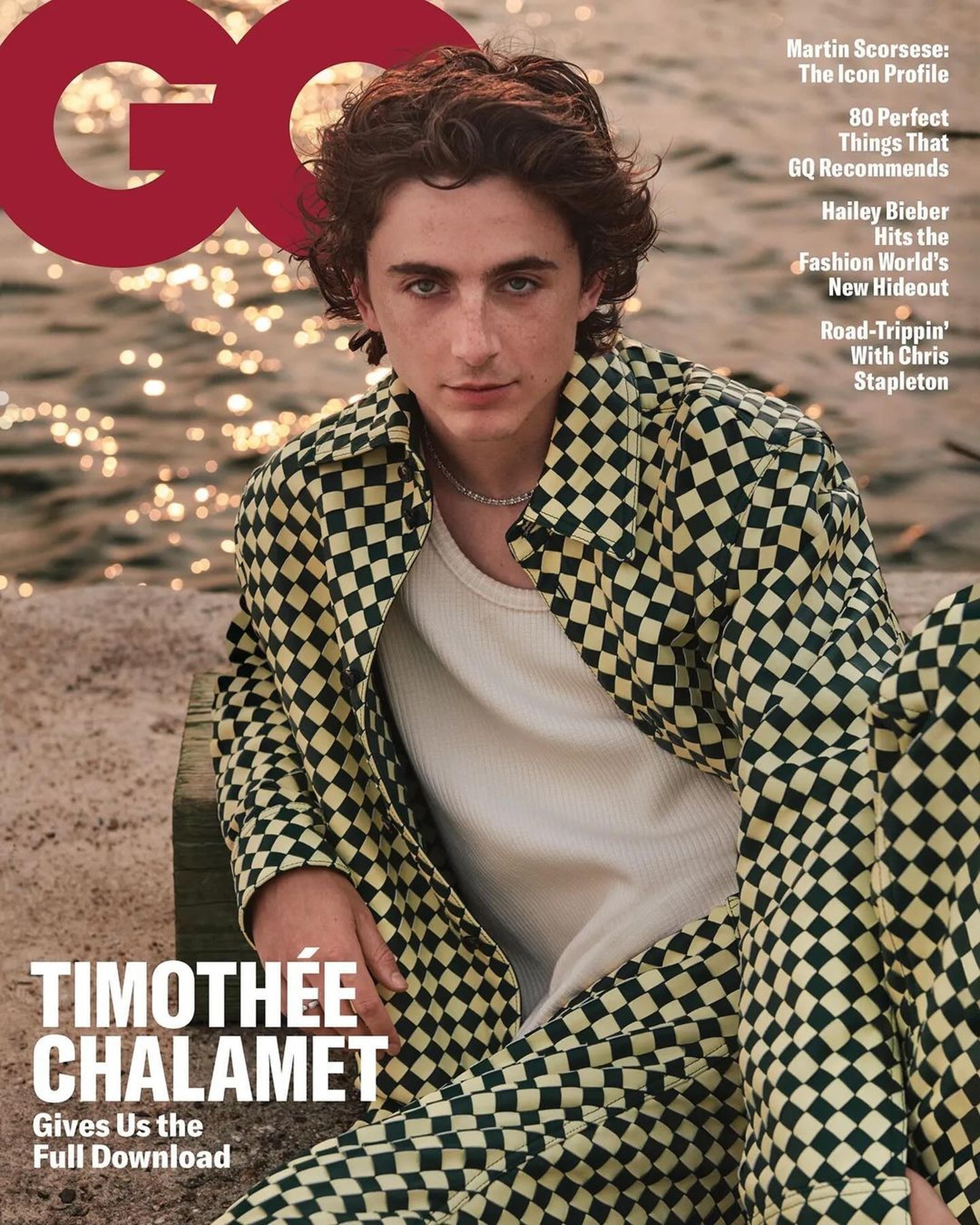 Timothée Chalamet đẹp trai nhất thế giới: Vẻ đẹp chàng thơ lên ngôi - 6