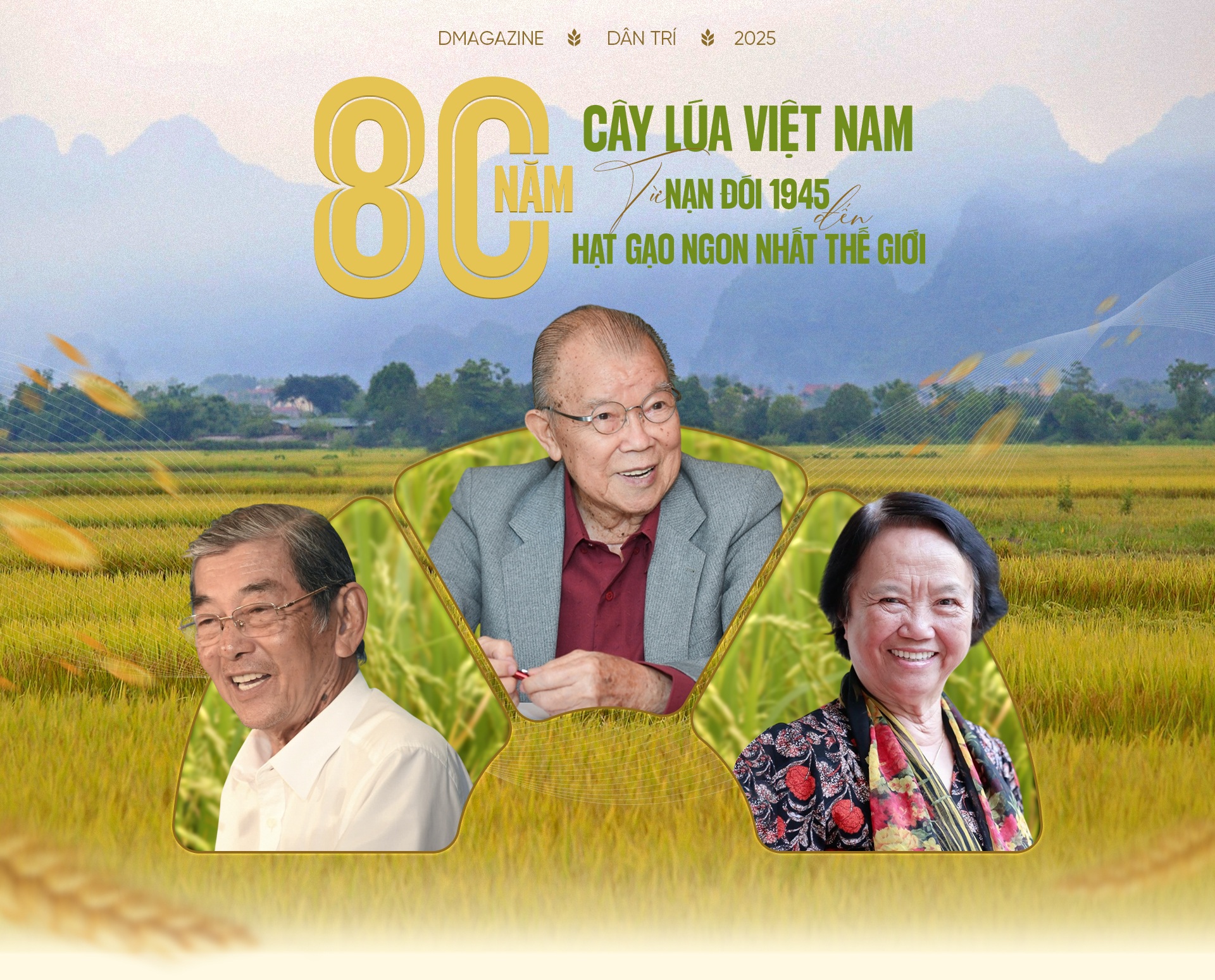 80 năm cây lúa Việt: Từ nạn đói 1945 đến hạt gạo ngon nhất thế giới