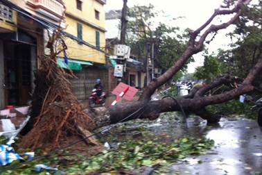 Năm nay Việt Nam đón 5 - 6 cơn bão