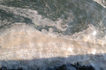 Xuất hiện những dải nước biển màu vàng nâu