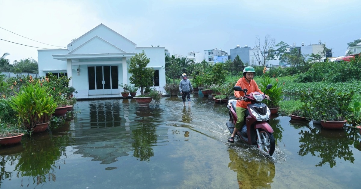 View - Người dân dự kiến đập nhà cũ xây lại nhà mới vì nước ngập kéo dài | Báo Dân trí