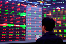 Chứng khoán giảm thảm khốc, nhà đầu tư nên làm gì lúc này?