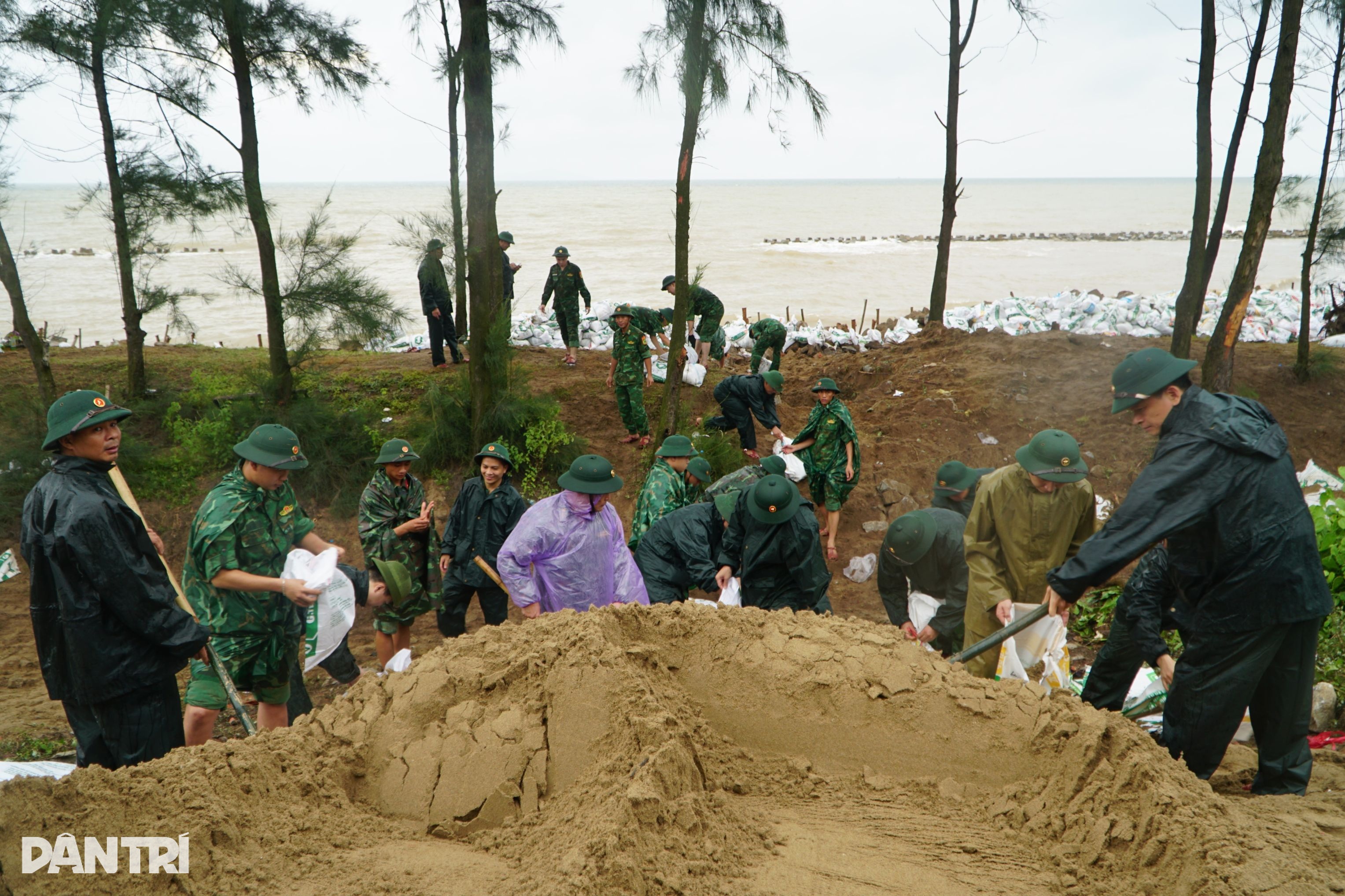 Hàng trăm chiến sĩ công an, biên phòng dầm mưa vác đá, cõng đất gia cố đê - 1
