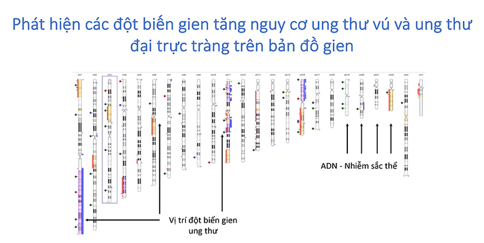Bệnh viện ngoài công lập đầu tiên ở phía Bắc hội nhập nền y học thế giới về giải mã 22.000 gien ung thư - 4 Bệnh viện ngoài công lập đầu tiên ở phía Bắc hội nhập nền y học thế giới về giải mã 22.000 gien ung thư - 4