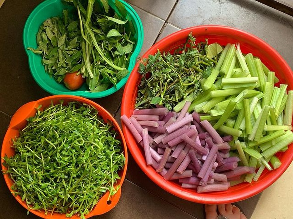 7 loại rau dân dã nhưng ngon khó cưỡng, chỉ có vào mùa nước nổi miền Tây - 7 7 loại rau dân dã nhưng ngon khó cưỡng, chỉ có vào mùa nước nổi miền Tây - 7