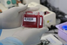 Tế bào gốc máu dây rốn điều trị ung thư như thế nào?