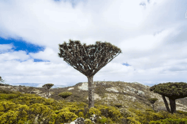 Lạc vào miền đất cô lập với thế giới như hành tinh lạ