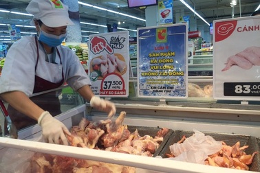 "Bán một lứa gà, chủ trang trại mất ngay biệt thự"