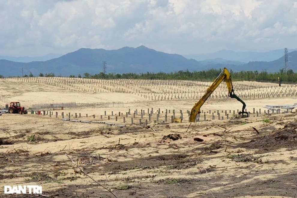 Vụ nhầm lẫn phá hơn 5 ha rừng phòng hộ: Sai đến đâu xử lý đến đó - 3 Vụ nhầm lẫn phá hơn 5 ha rừng phòng hộ: Sai đến đâu xử lý đến đó - 3