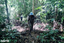 Vụ gần 150m3 gỗ bị đốn hạ: Lâm tặc trà trộn với người đi nương rẫy?