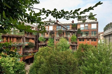 Chung cư như rừng cây  giữa phố, cư dân hít thở bầu không khí trong lành