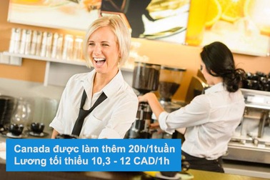 Chính sách việc làm và định cư mở rộng cho sinh viên quốc tế tại Canada