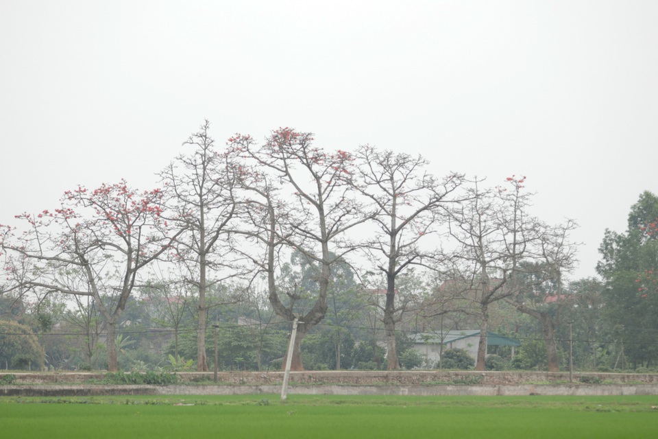 Chuyên gia mách nước bí kíp đầu tư BĐS chỉ 500 triệu đồng vẫn sinh lời? - 2 Chuyên gia mách nước bí kíp đầu tư BĐS chỉ 500 triệu đồng vẫn sinh lời? - 2