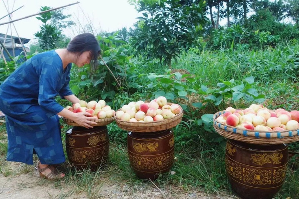 Nữ giám đốc 50 tuổi từ bỏ sự nghiệp, về quê làm vườn trồng rau và chăm hoa - 9 Nữ giám đốc 50 tuổi từ bỏ sự nghiệp, về quê làm vườn trồng rau và chăm hoa - 9