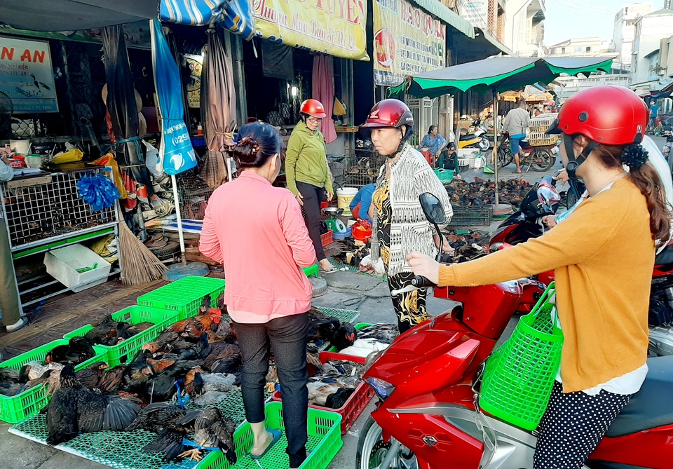 Sóc Trăng: Mùng 3 Tết, người dân chen chân mua gà cúng tiễn ông bà - 1 Sóc Trăng: Mùng 3 Tết, người dân chen chân mua gà cúng tiễn ông bà - 1