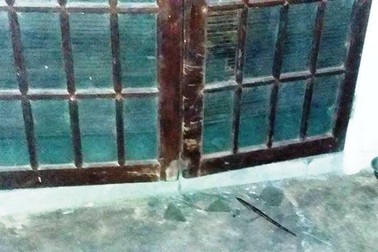 Thuê nhà để nuôi dưỡng chó mèo bỏ rơi bị hàng xóm qua đập phá?