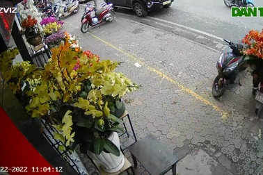 Đôi nam nữ 2 lần ngang nhiên bê trộm chậu lan đắt tiền