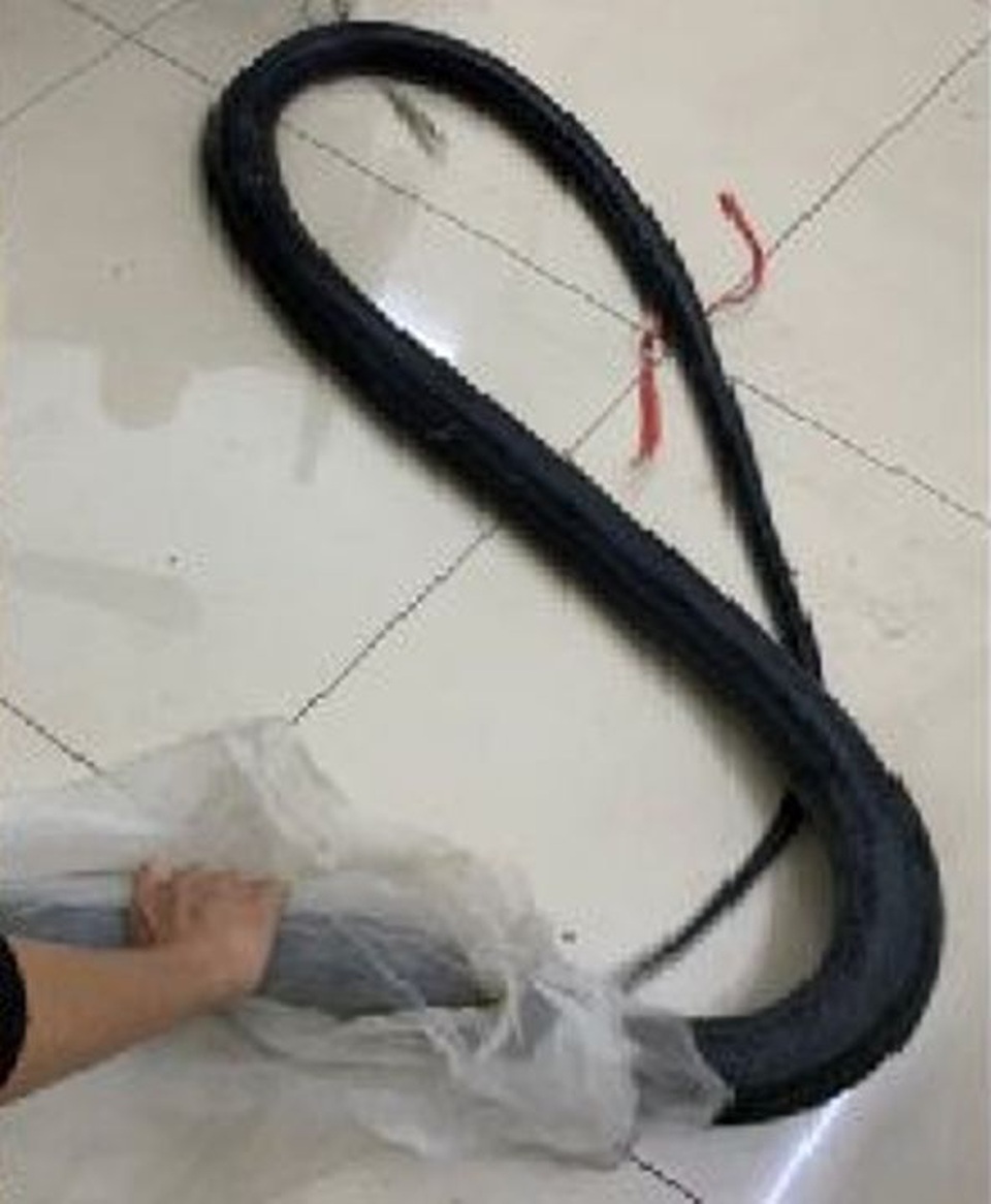 Dùng ô tô vận chuyển rắn hổ mang chúa gần 10kg - 2 Dùng ô tô vận chuyển rắn hổ mang chúa gần 10kg - 2