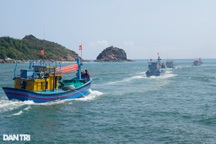 Cảnh báo tàu cá "mất tích" từ 6 giờ đến 10 ngày trên biển