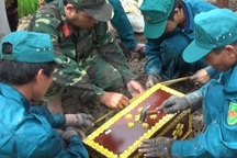 Dự chi 15-20 triệu đồng xây, sửa mộ liệt sĩ bị hư hỏng trên đất gia đình