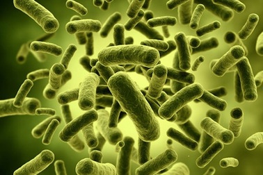 Những lưu ý khi chọn dùng men vi sinh cho trẻ