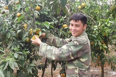 Những "nông dân triệu phú" trẻ tuổi tỉnh Nghệ An