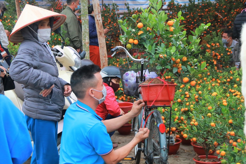 Người dân nô nức rước nàng xuân về nhà khi dịch Covid-19 được khống chế - 12 Người dân nô nức rước nàng xuân về nhà khi dịch Covid-19 được khống chế - 12